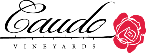 Caudo logo dark
